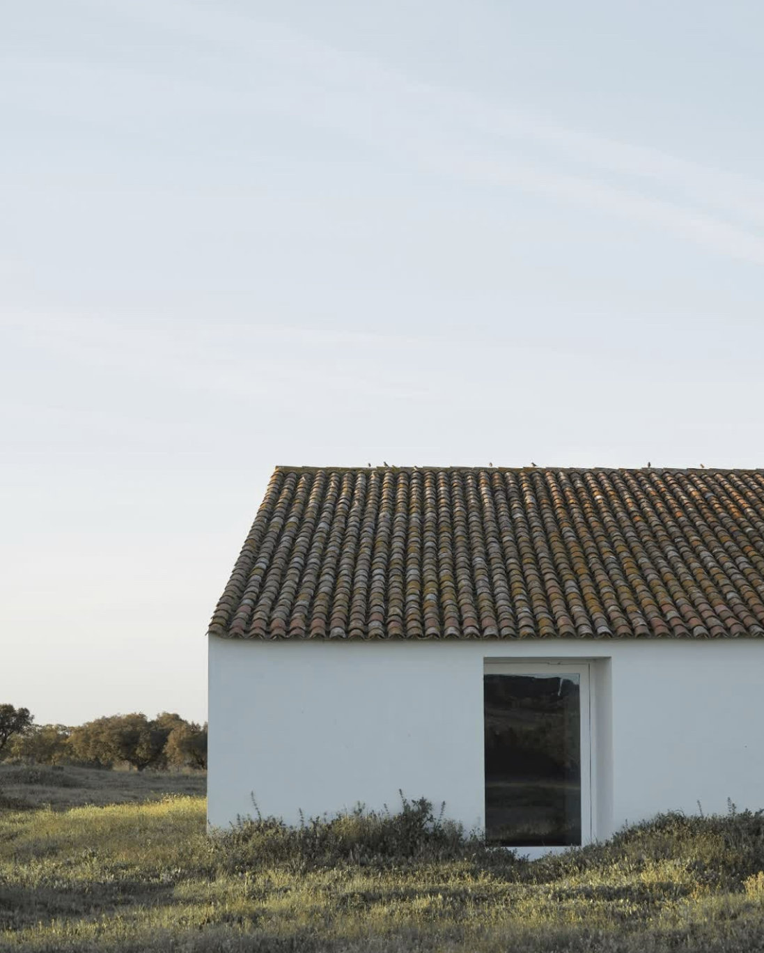 Single-story house overlooking grassy field